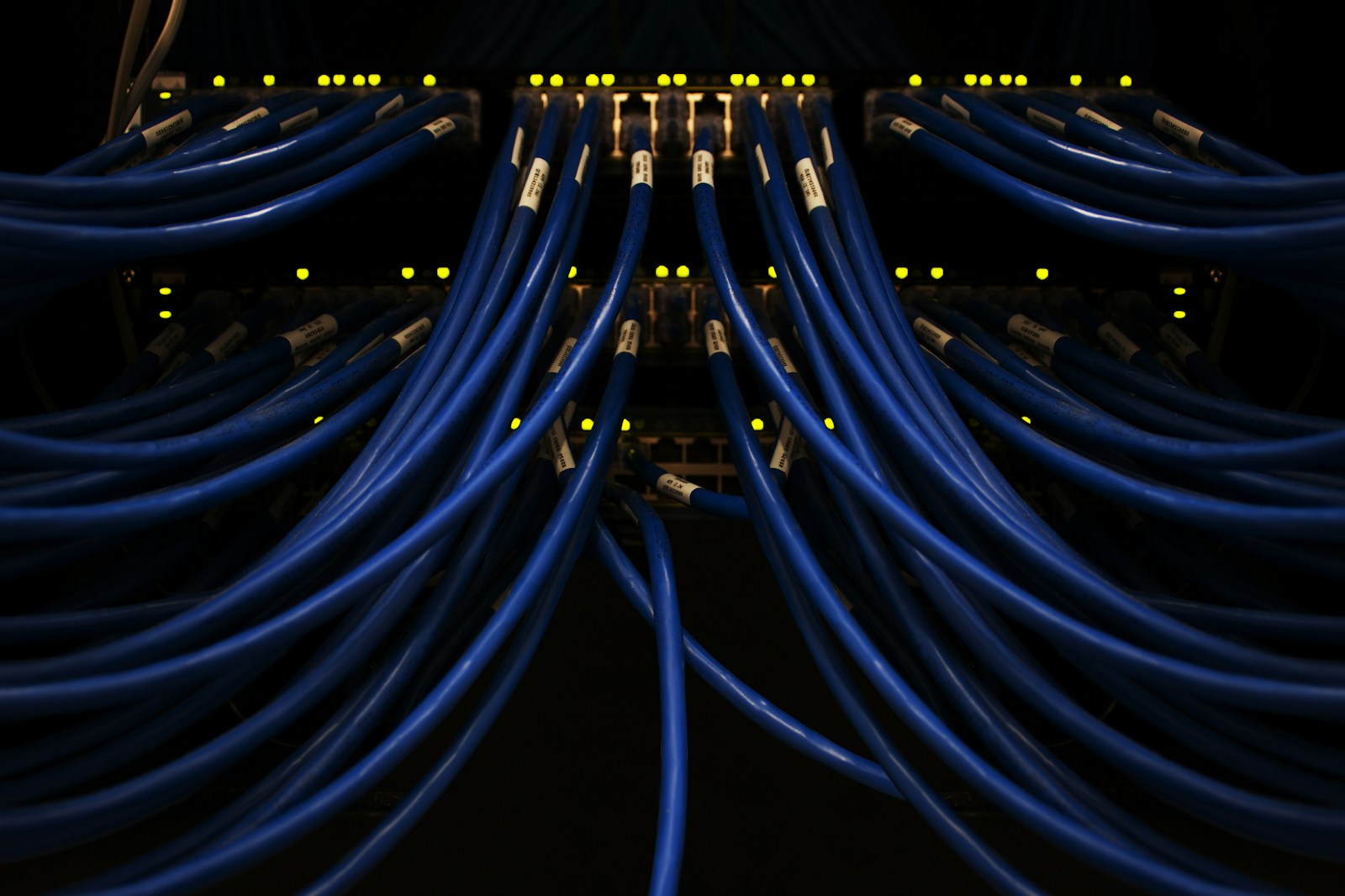 Close-up of blue Ethernet cables plugged into a network switch, with status lights illuminated.